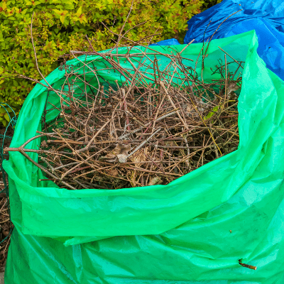 Yard Debris Removal